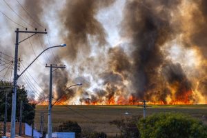 Sécheresse extrême: sept incendies ravagent les champs du Nord vaudois en une semaine