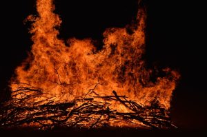 Vague de chaleur en Vaud : le canton boucle les robinets, ferme les feux