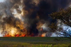 Vaud interdit les feux d’artifice et les barbecues: les restrictions face à la sécheresse