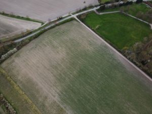 Canicule 2026: Vaud face à des pertes qui dépasseraient 100 millions de francs