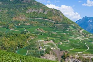 Le Chablais se prépare : la 3e correction du Rhône entre en phase décisive
